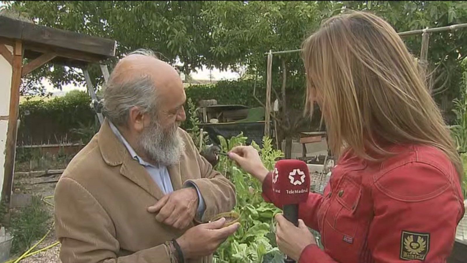 La única ecoaldea de Madrid, en Valdepiélagos