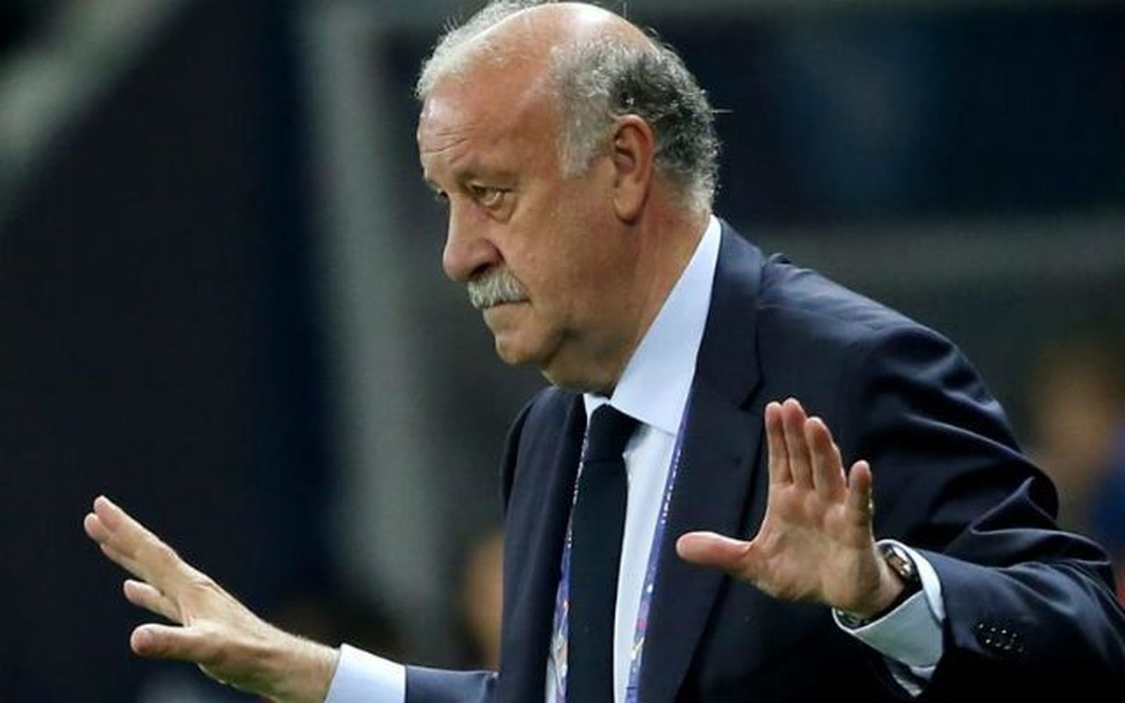 Del Bosque pone freno a la euforia: "Aún no hemos ganado nada"