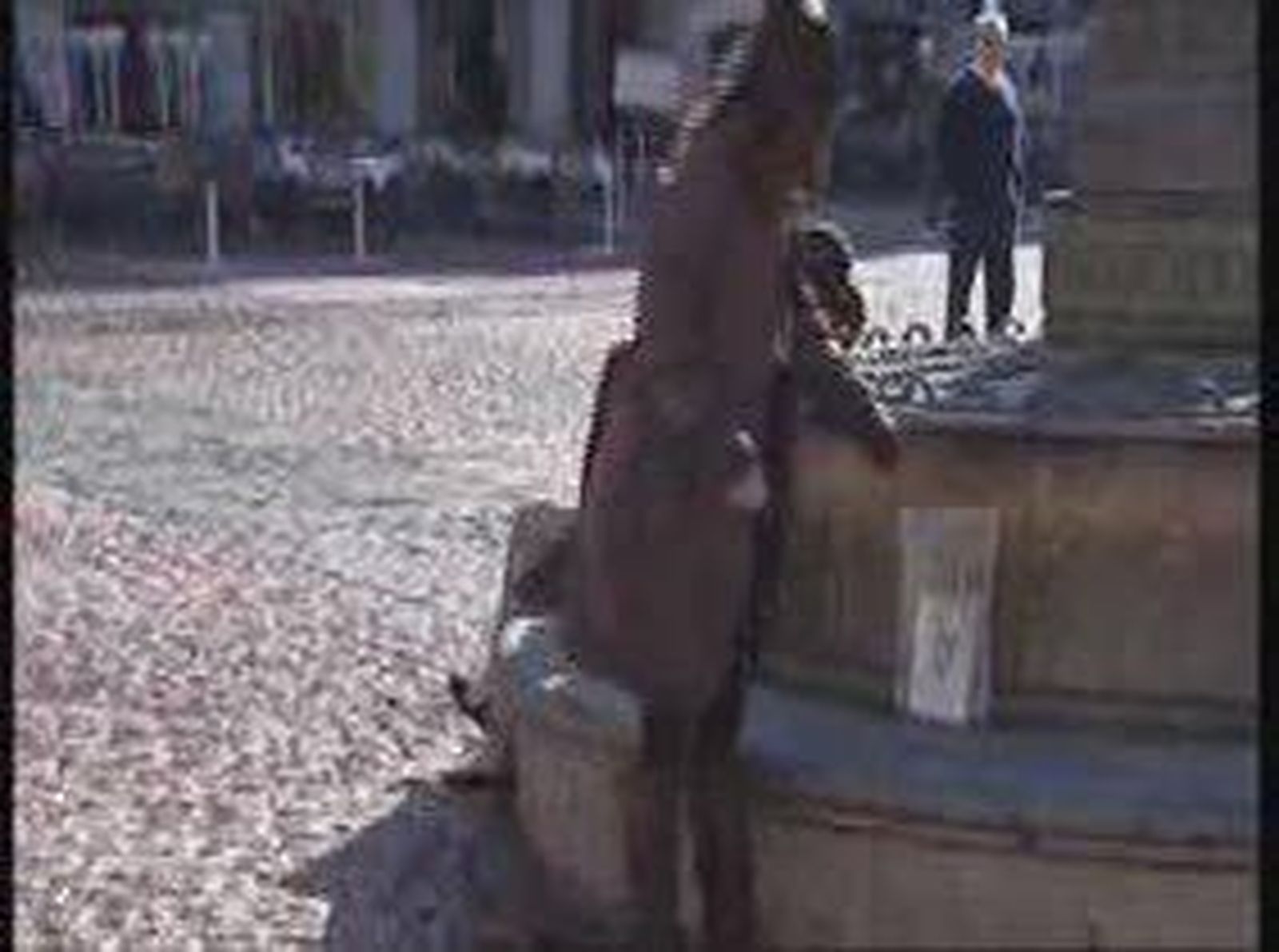 Bookcrossing