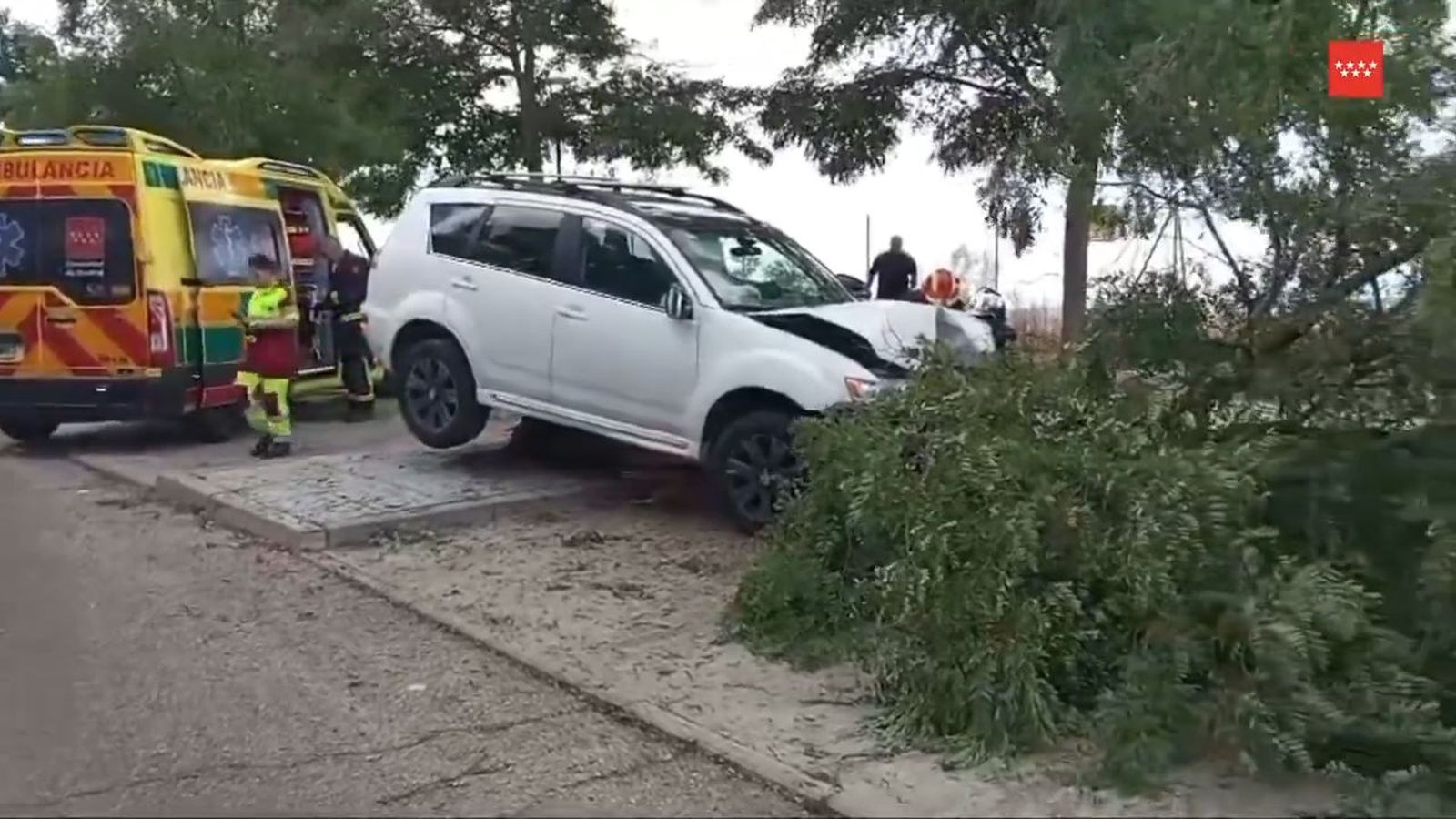Pierde el control y se estrella contra un árbol en Arroyomolinos