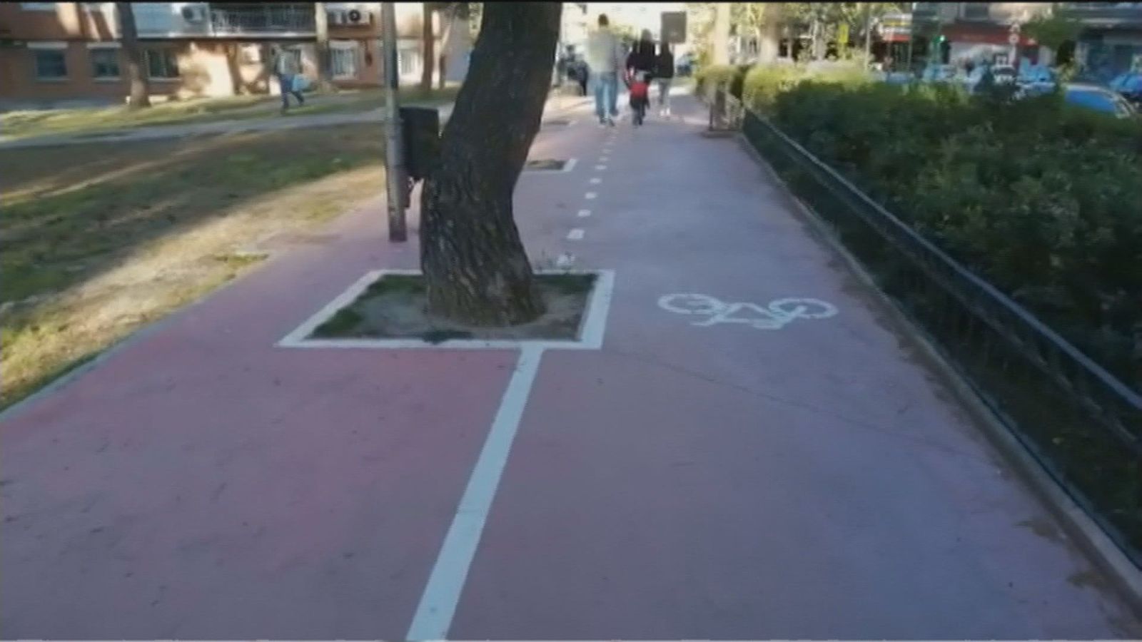 Árboles, farolas y bancos, en medio de un peligroso carril bici en Coslada