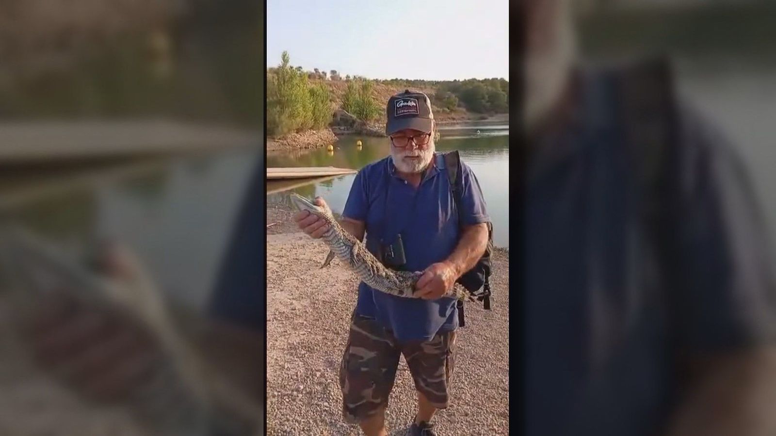 Capturan un caimán en el pantano de Almansa (Albacete)