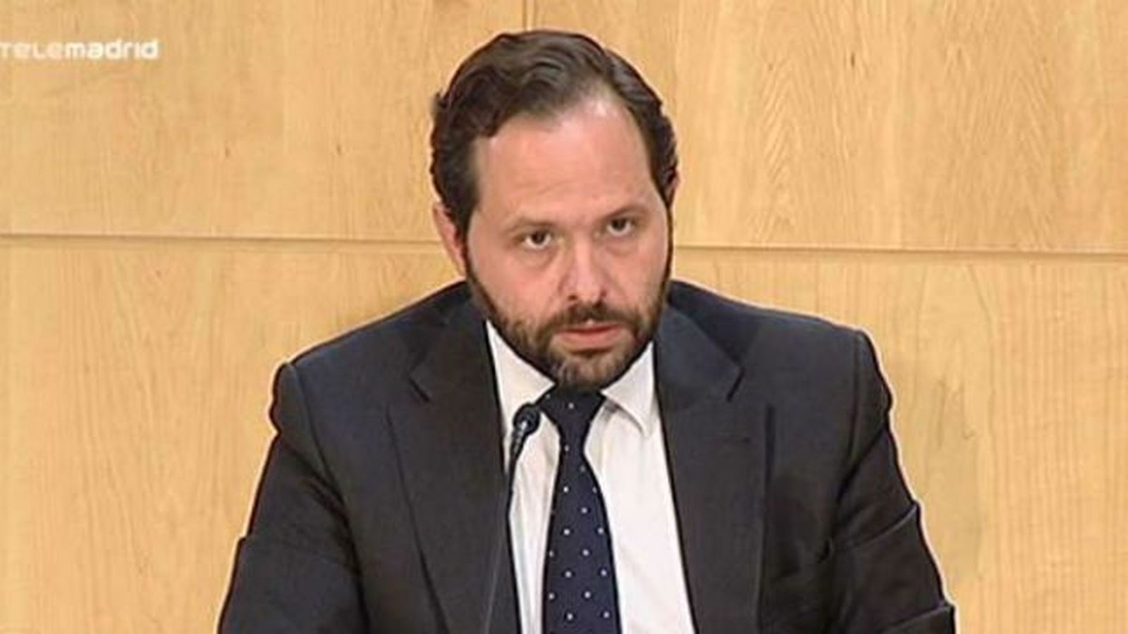 El Ayuntamiento convoca una comisión y revisará cada uno de los árboles