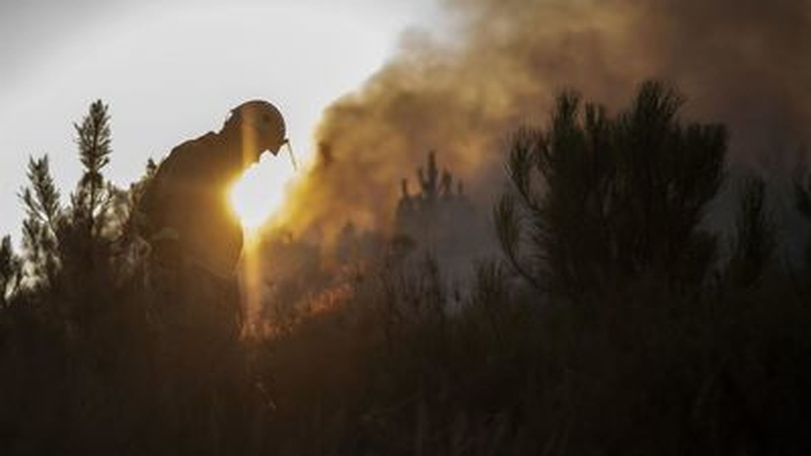 Incendios forestales