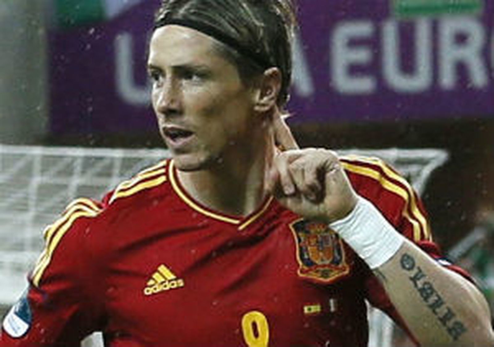 Fernando Torres Seleccion