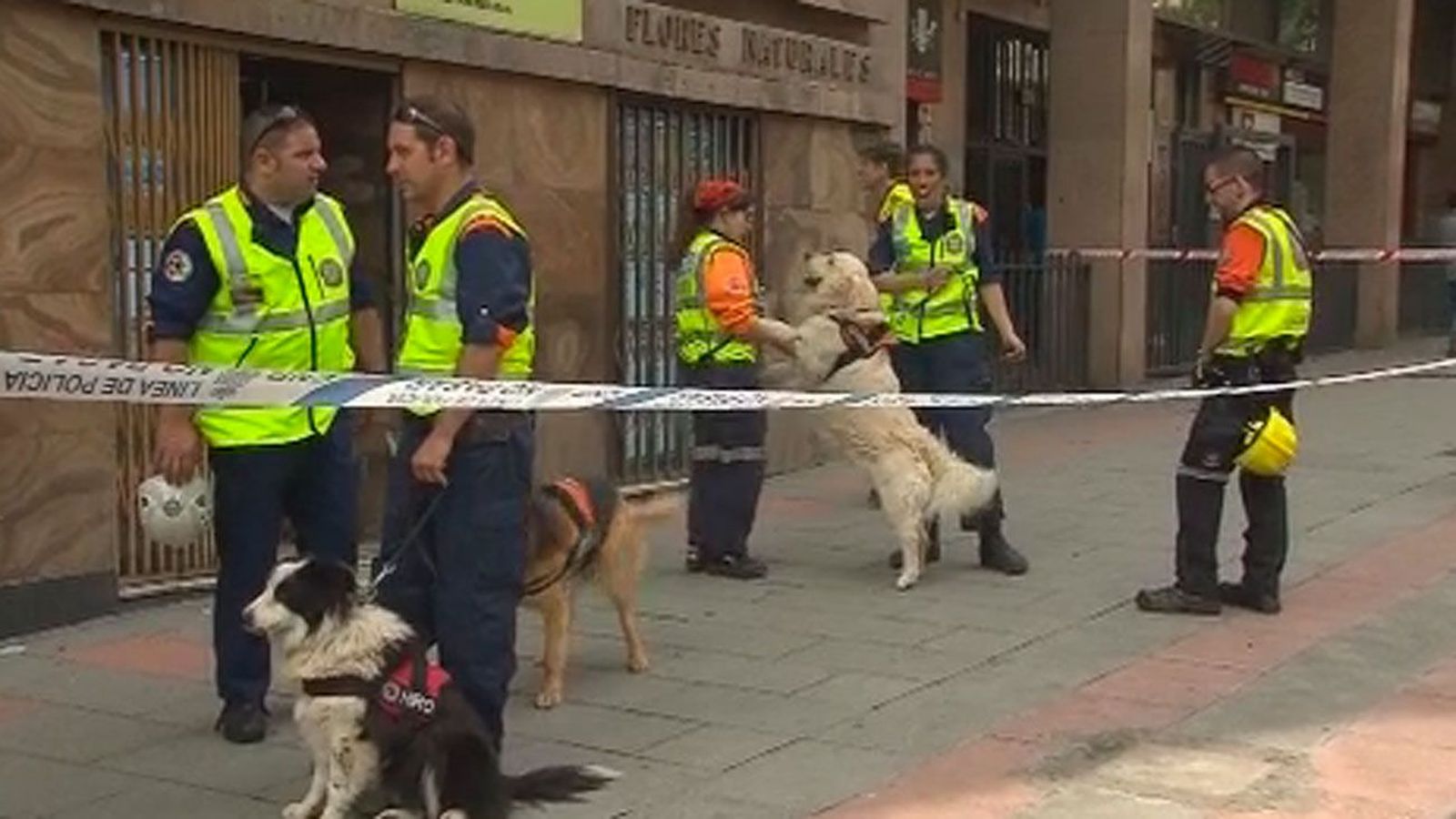Los perros policía 'jubilados' buscan un nuevo hogar