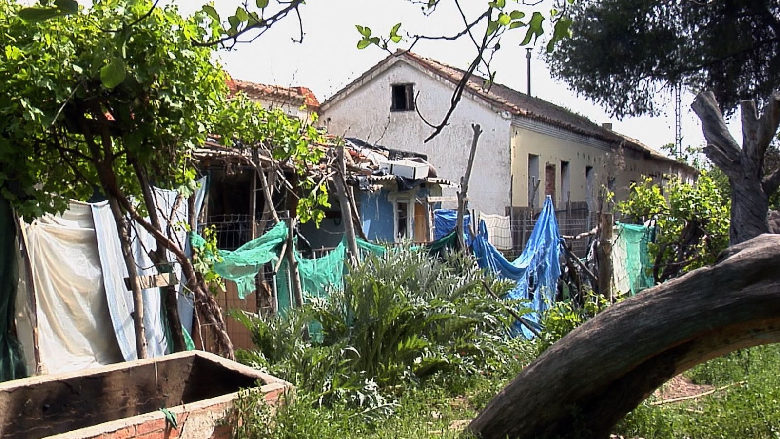 La otra cara de Alcalá de Henares: escombros, suciedad, roedores e incendios en viviendas