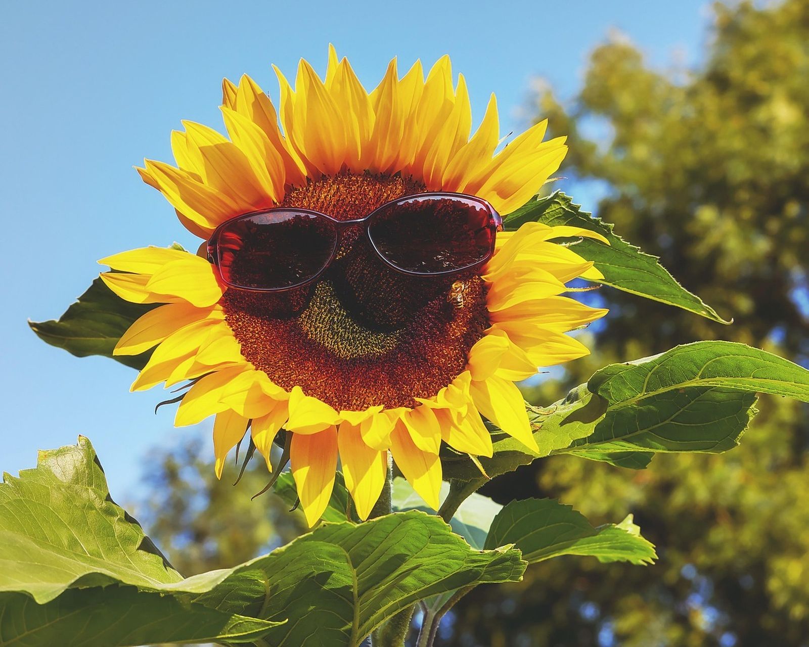 Cómo vestir 'fresquito' en verano sin ser hortera