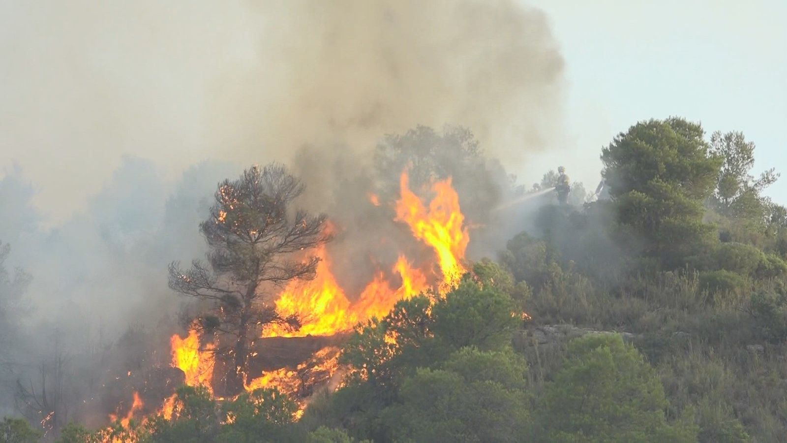 El fuego en Tarragona sigue sin control y afecta ya a 6.500 hectáreas