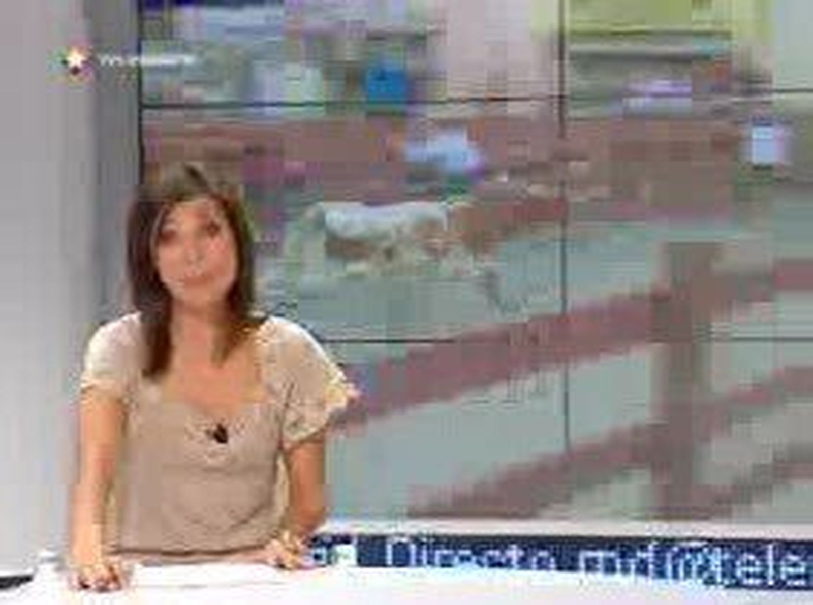 Encierros Leganés