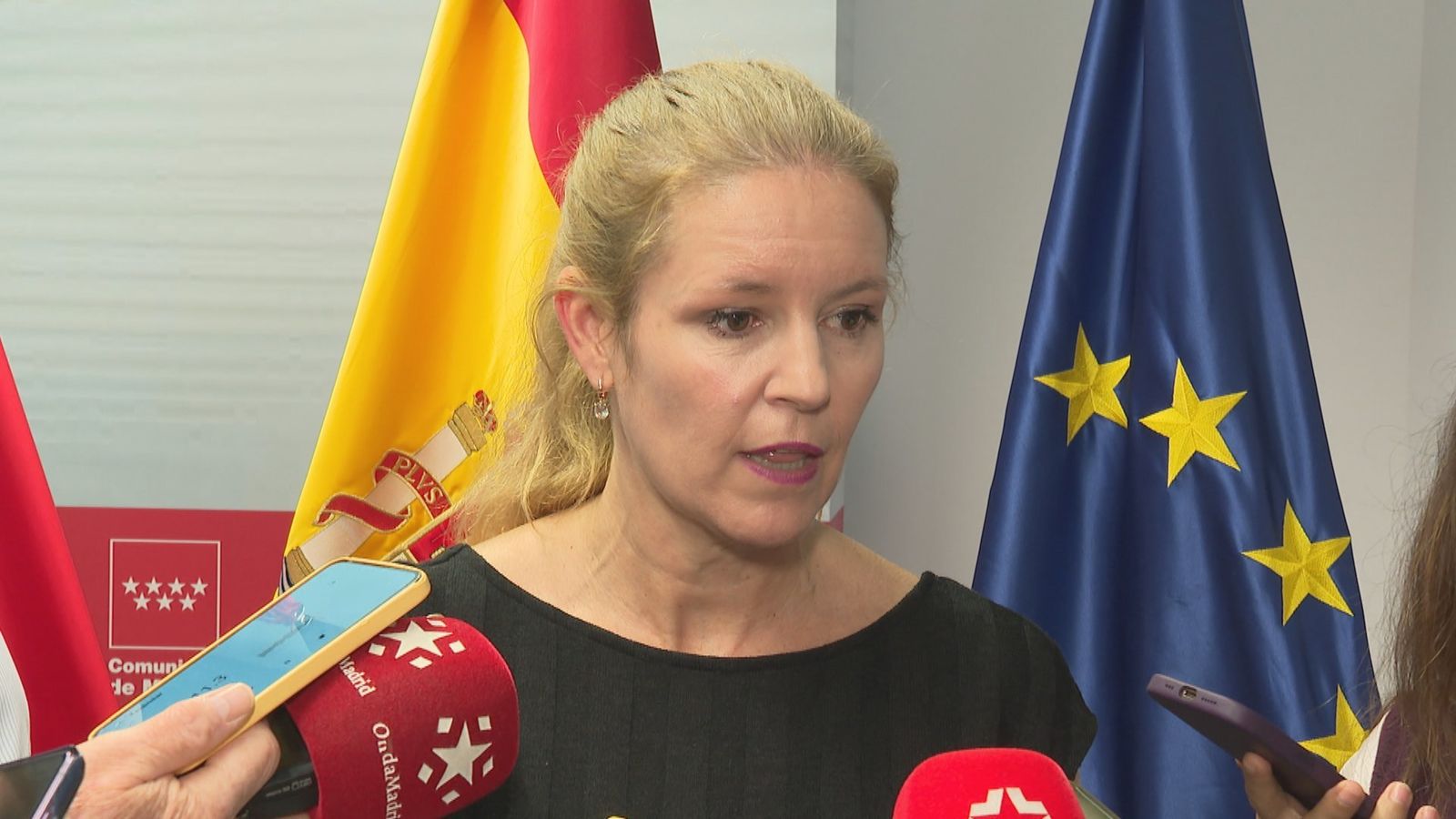 La consejera de Familia, Juventud y Asuntos Sociales, Ana Dávila