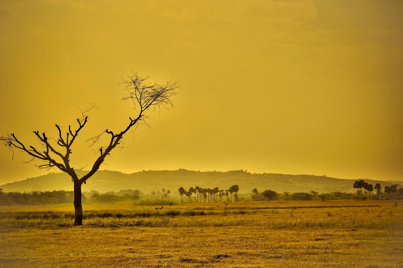 Febrero bate récords históricos de temperaturas altas