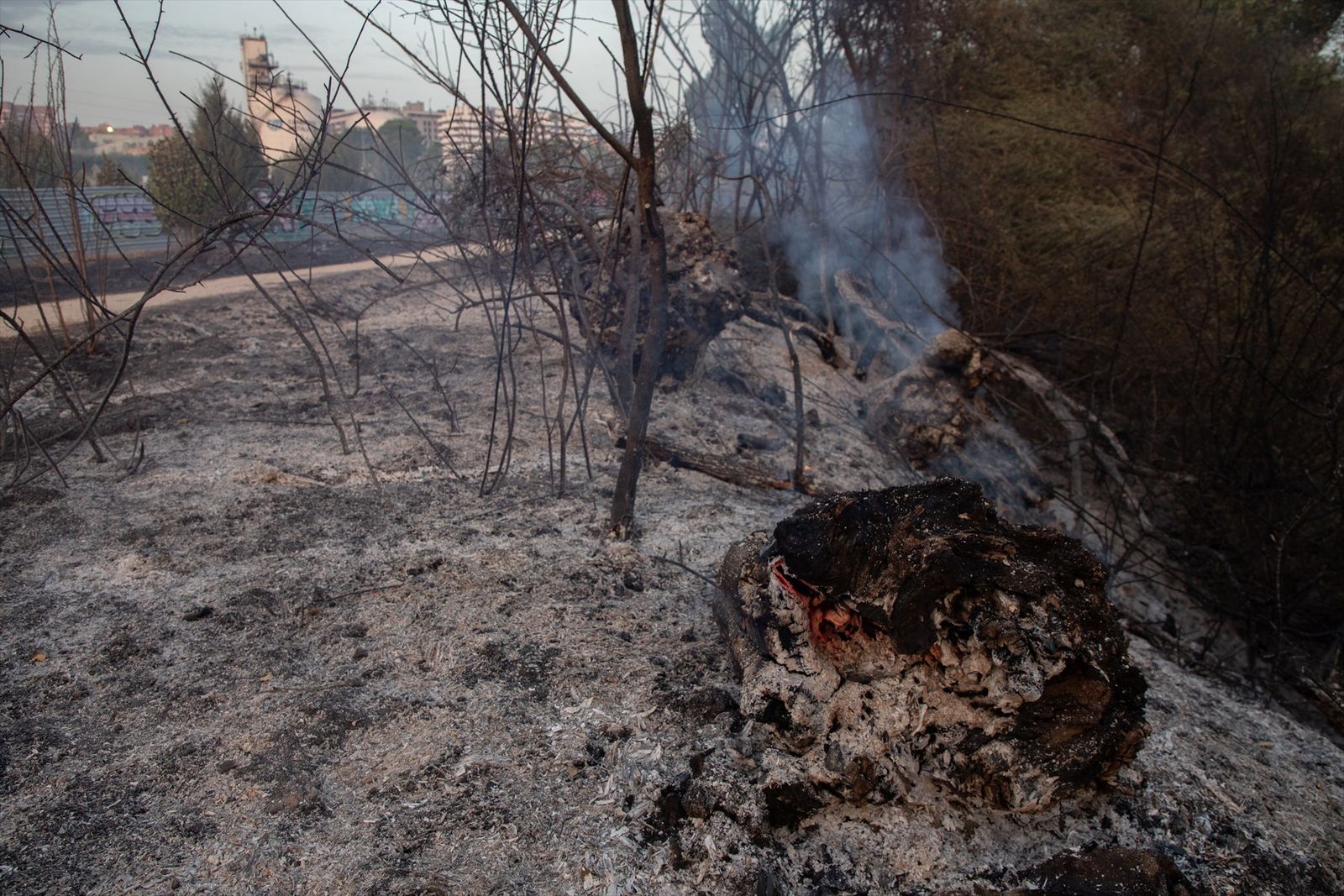 Campo quemado del incendio Tres Cantos
