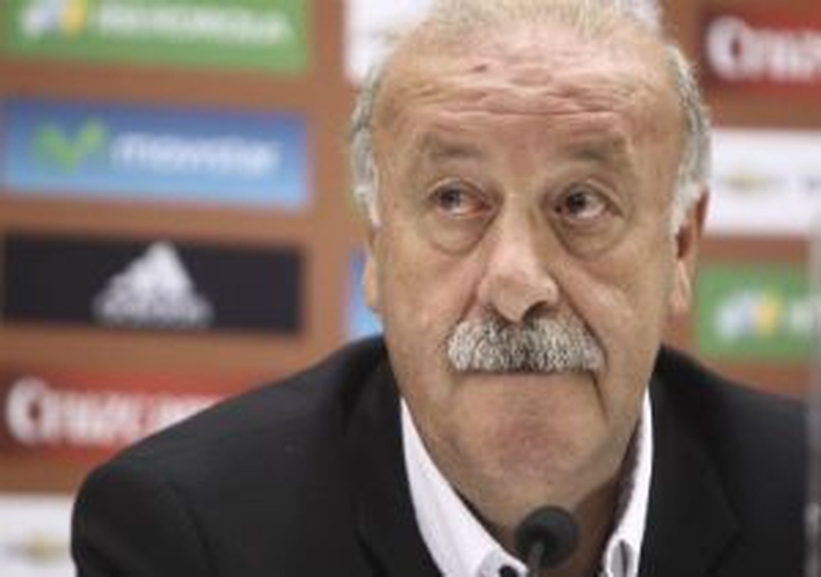 Del Bosque, en la previa ante Francia