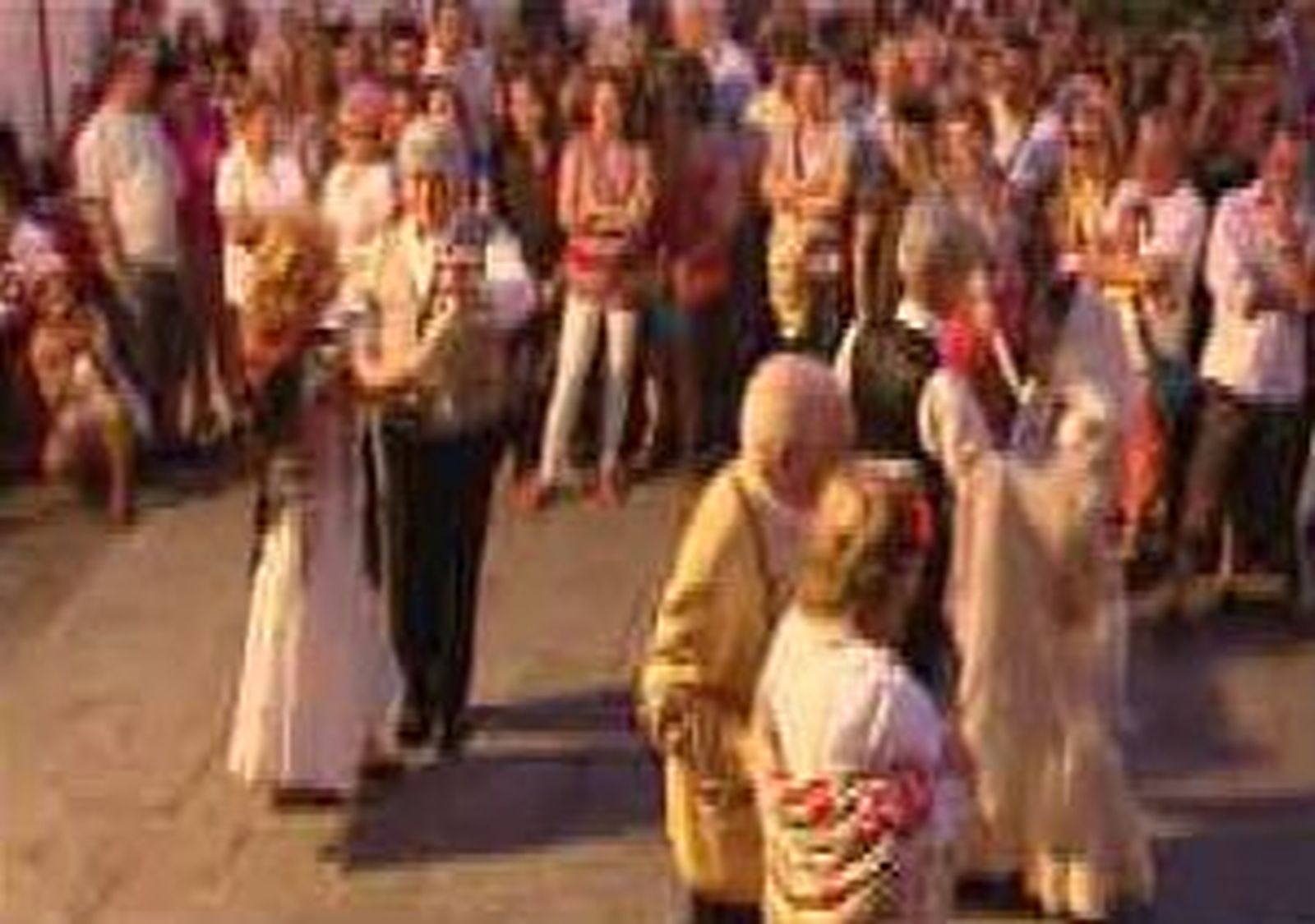Pitingo, Nolasco, Taxi, El Lunático y Mala Rodríguez actuarán  en las fiestas de La Paloma