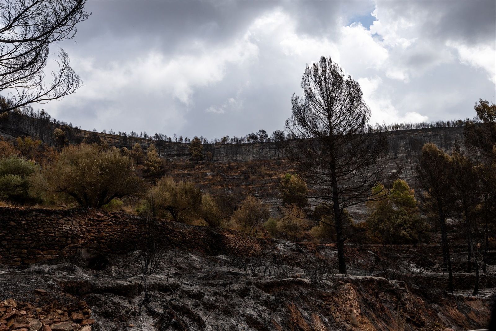 Evolución favorable de los incendios forestales en España