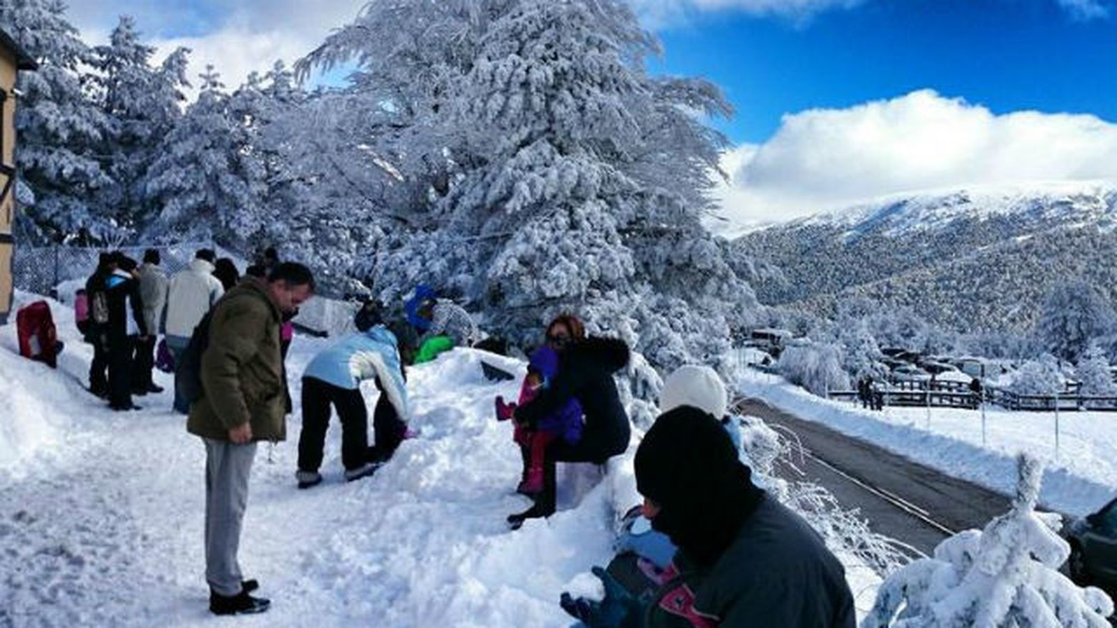 Nieve