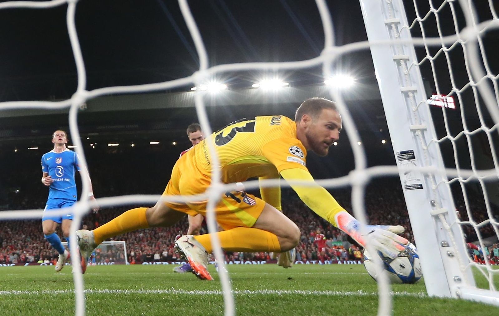 Oblak