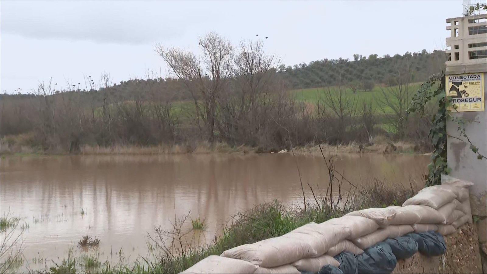 El río Jarama inunda sótanos y cultivos en varios municipios de Madrid