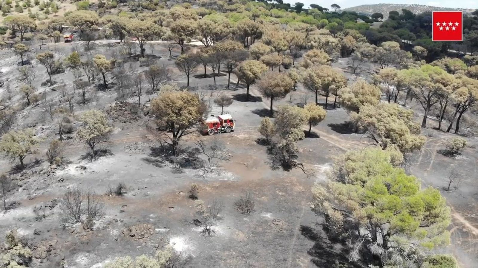 Las consecuencias del incendio del pantano de San Juan, a vista de pájaro