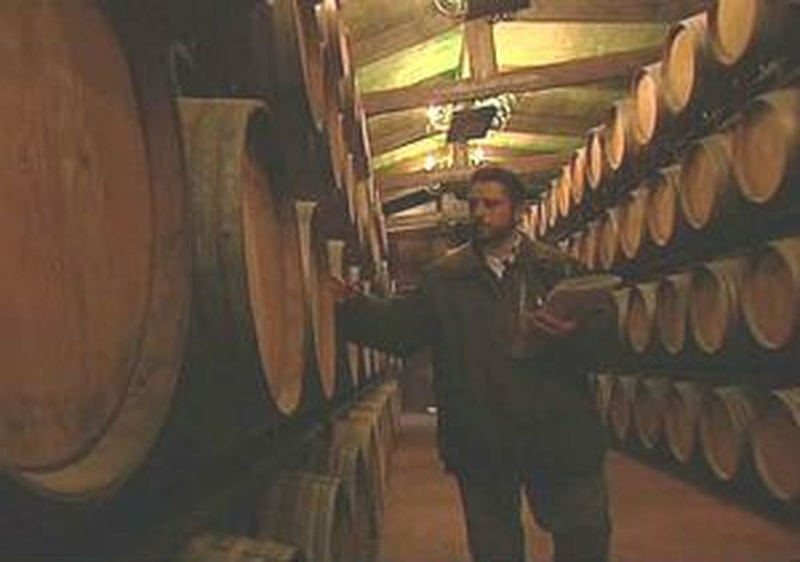 vinos.mp4
