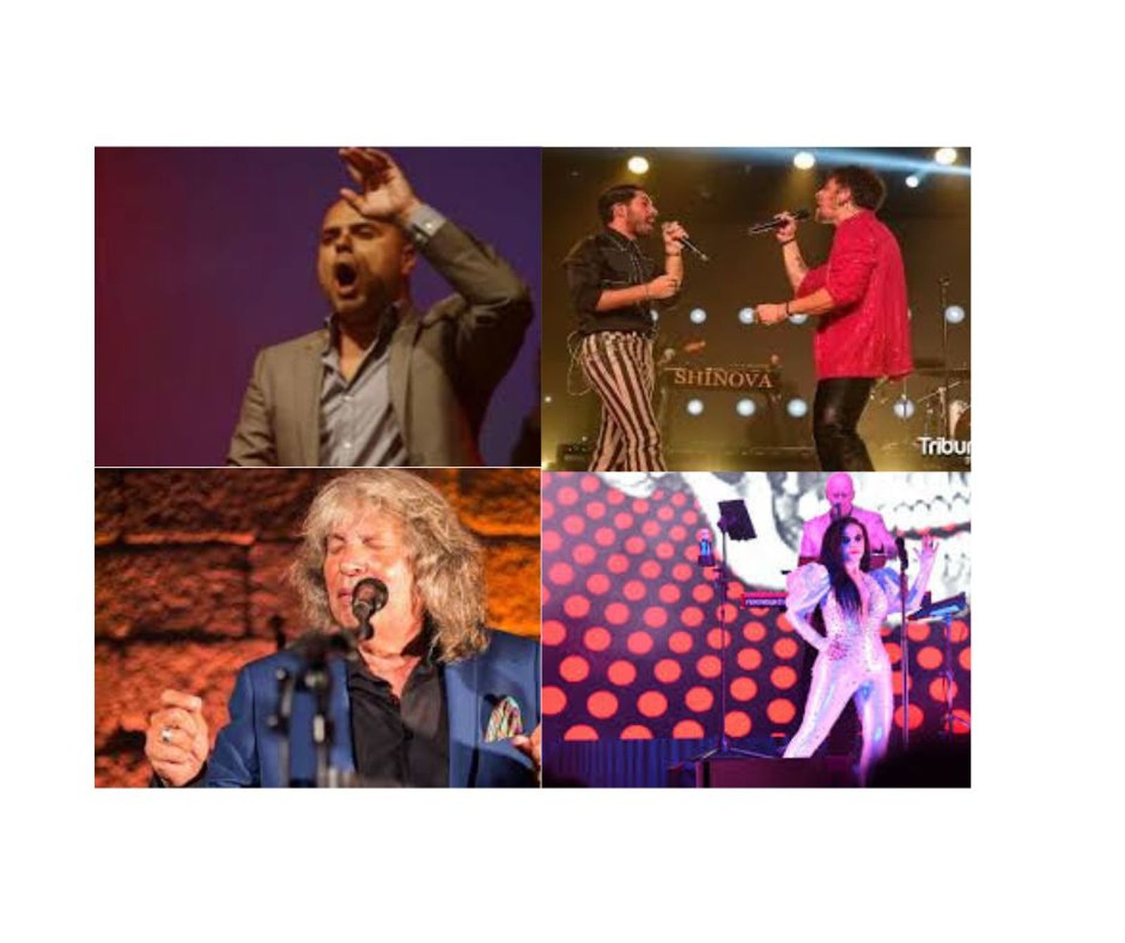 Juan Magán, Fangoria o  José Mercé: los conciertos de  las  fiestas Nuestra Señora de Consolación de Pozuelo