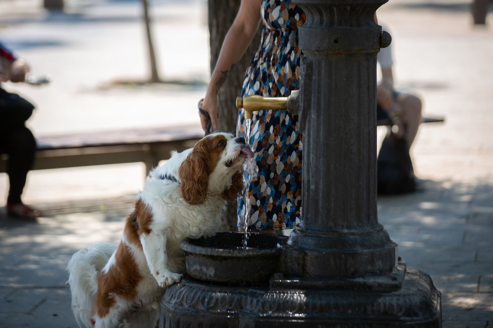 Pendientes del lunes, el fin (de momento) de la ola de calor en Madrid