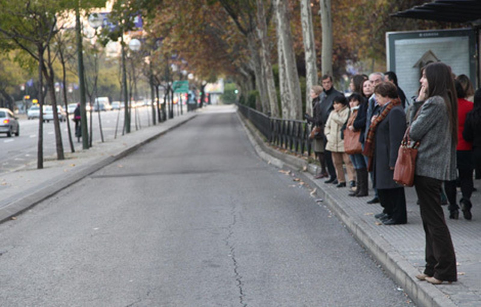encuesta_autobus_calle