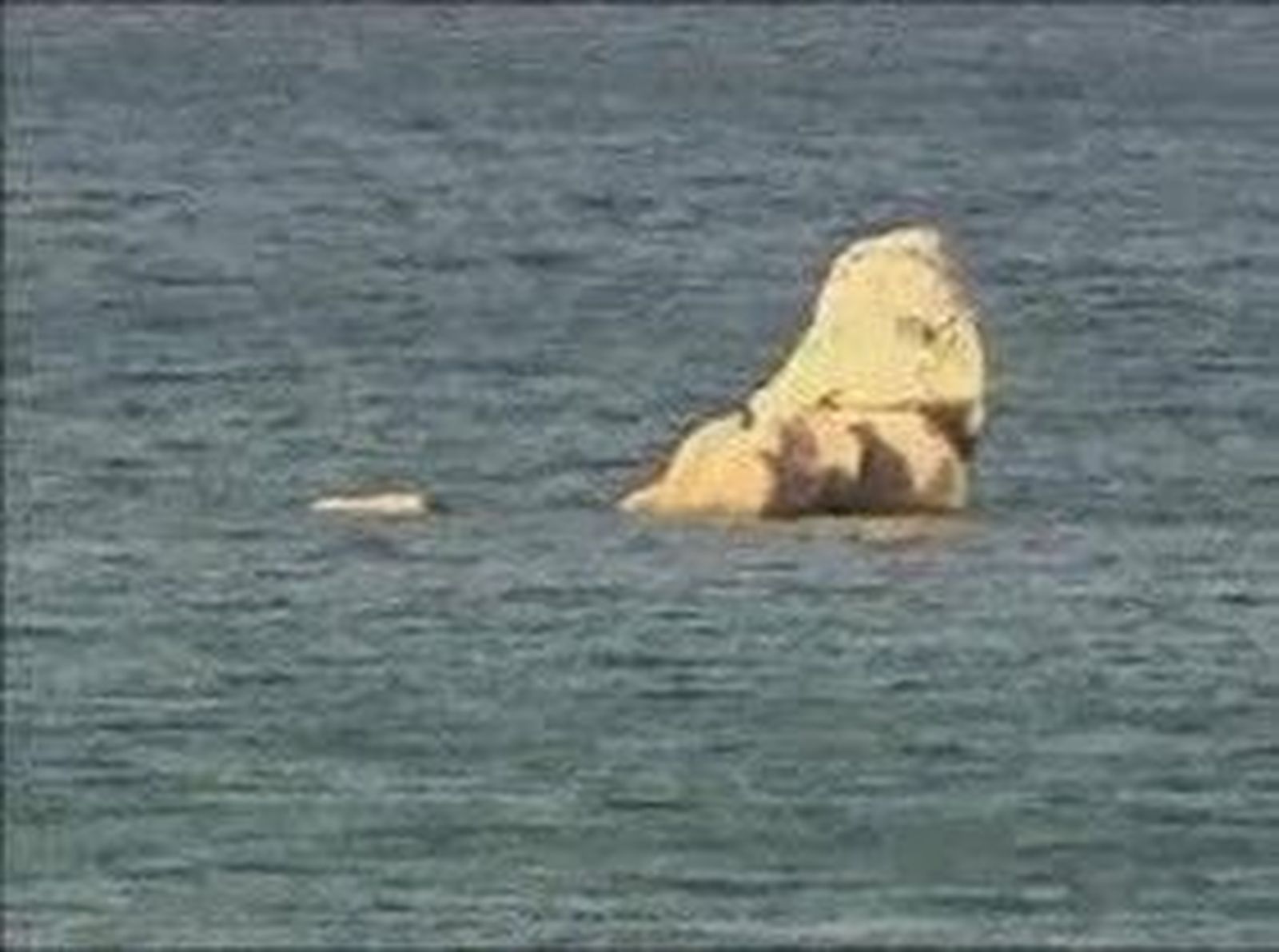 Ahogado pantano