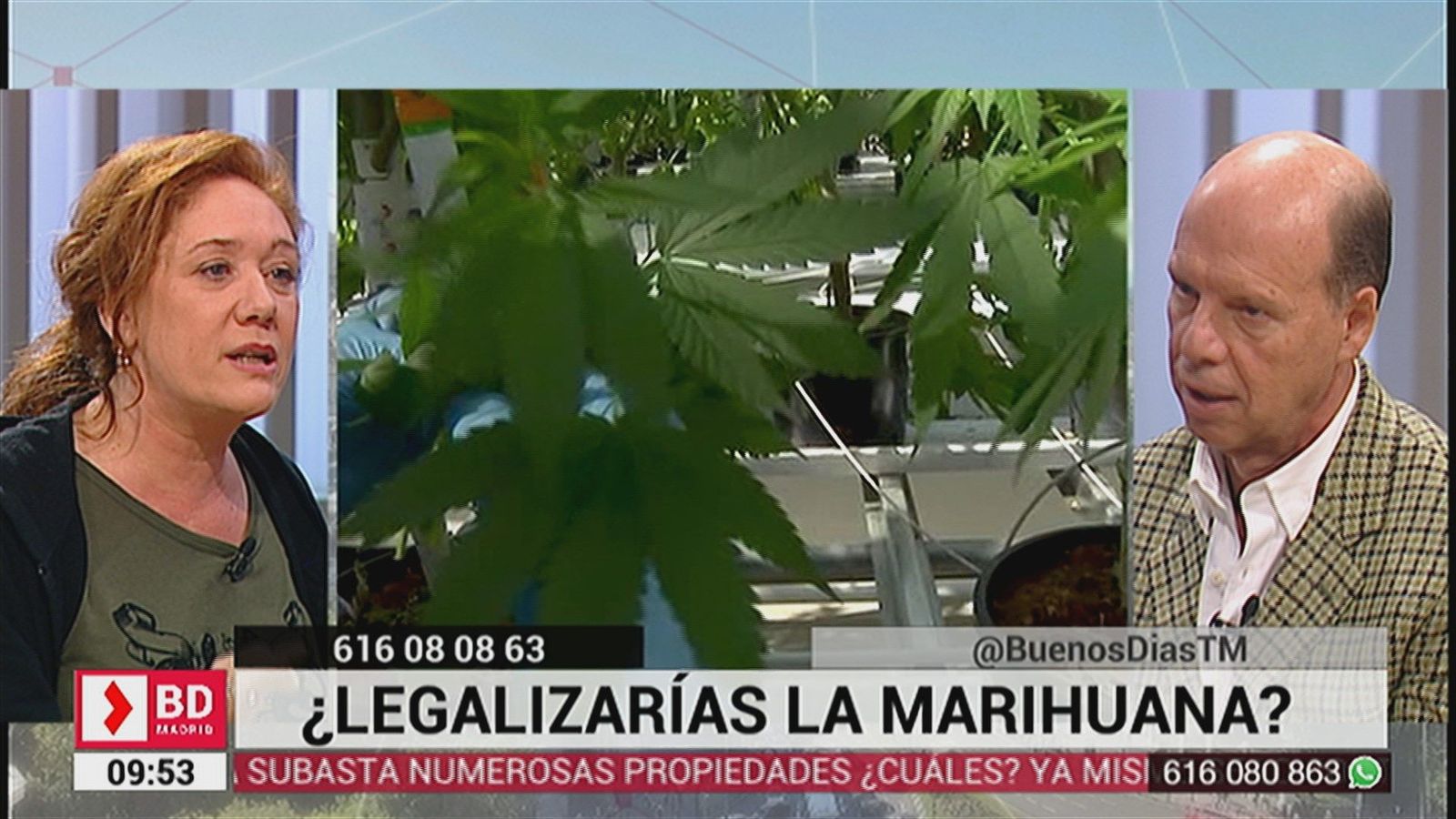 ¿Legalizarías la marihuana?