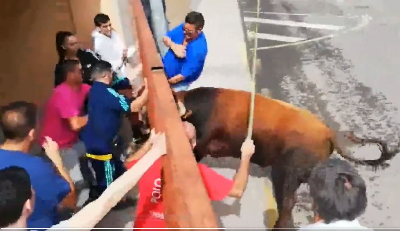 Cornada en Humanes