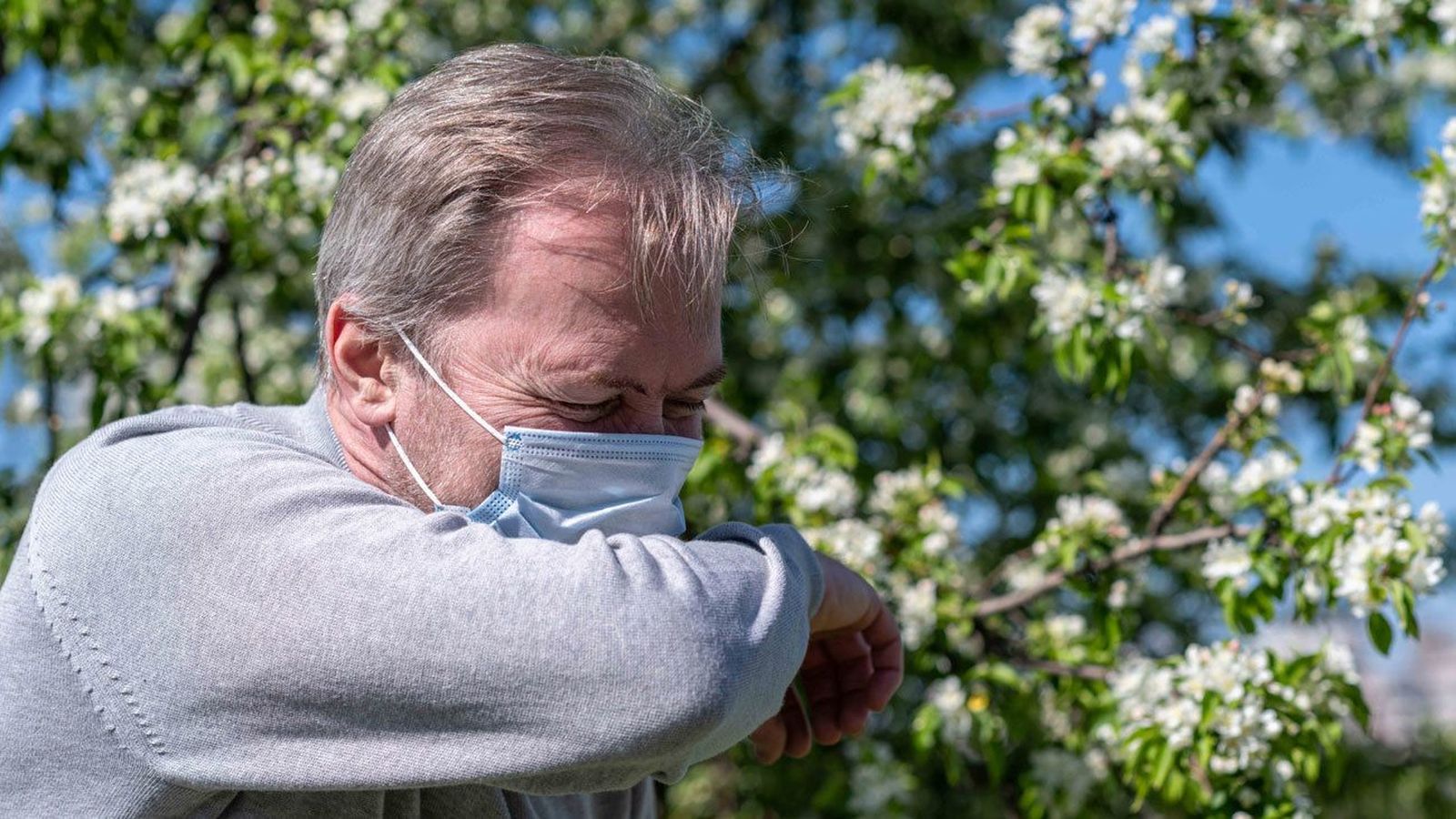 Repunte de alergias en verano: el calor y la contaminación vuelven al polen más agresivo