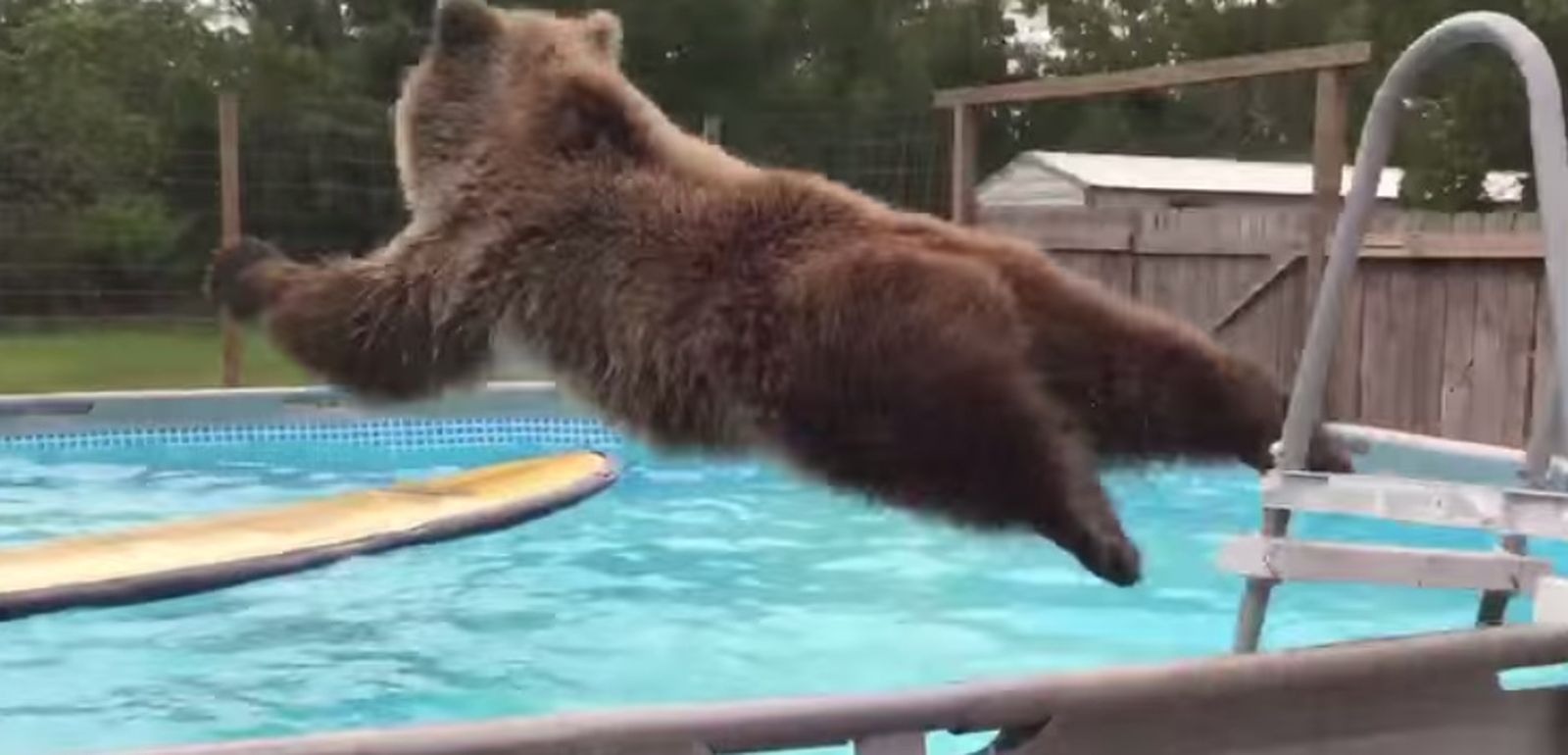 oso_778576