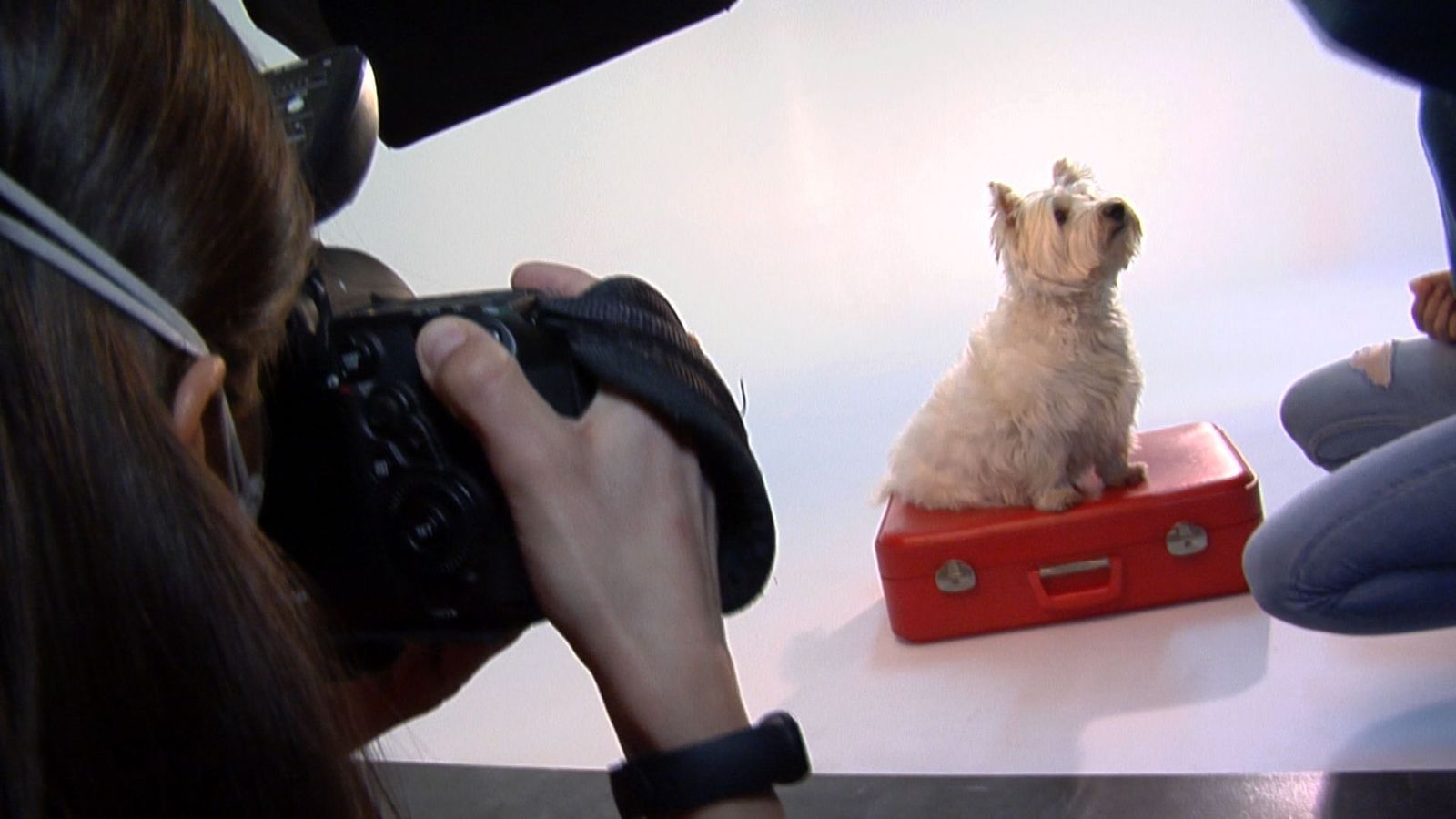 Trucos para sacar las mejores fotos a nuestra mascota