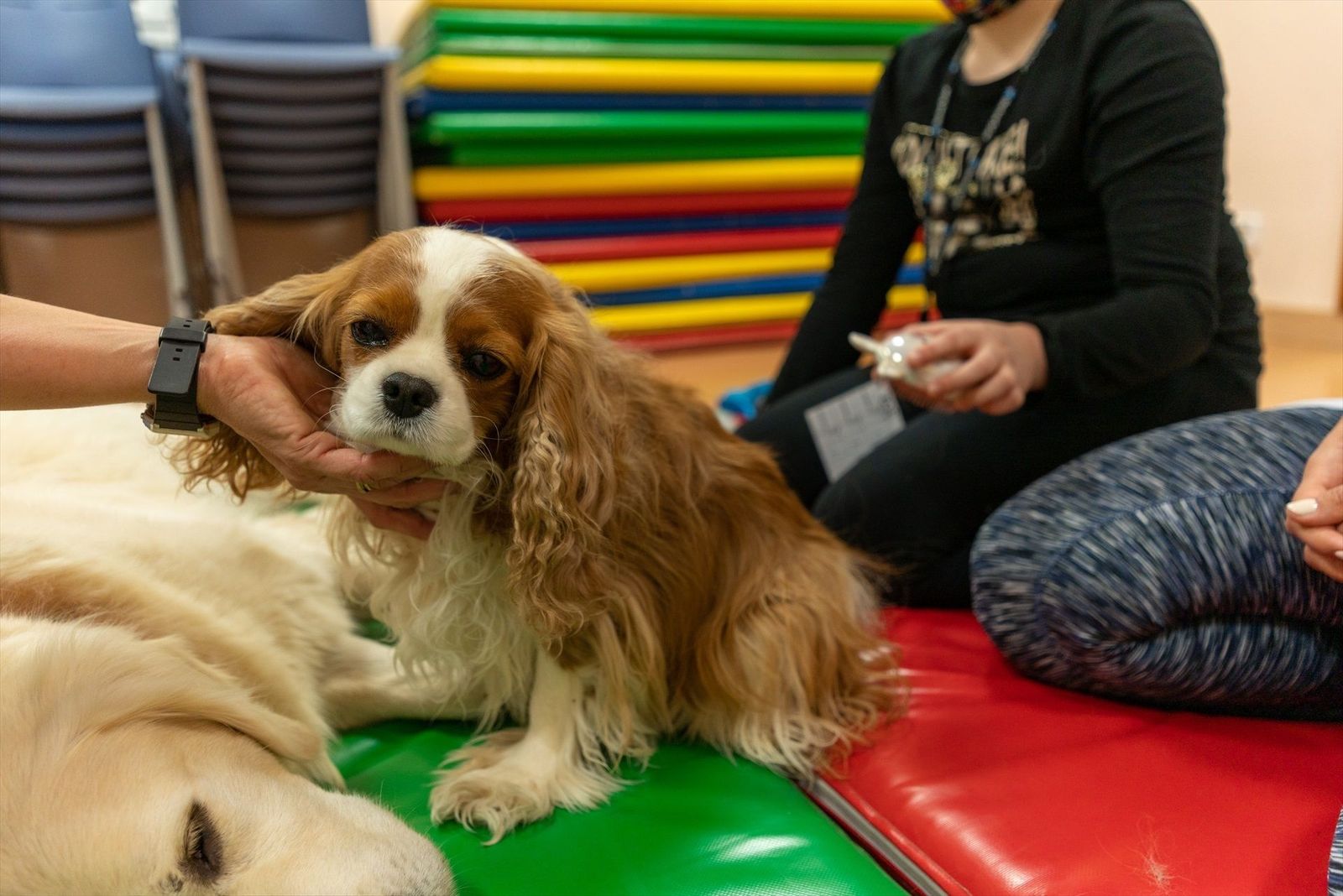 La terapia con perros beneficia a niños con trastornos de salud mental