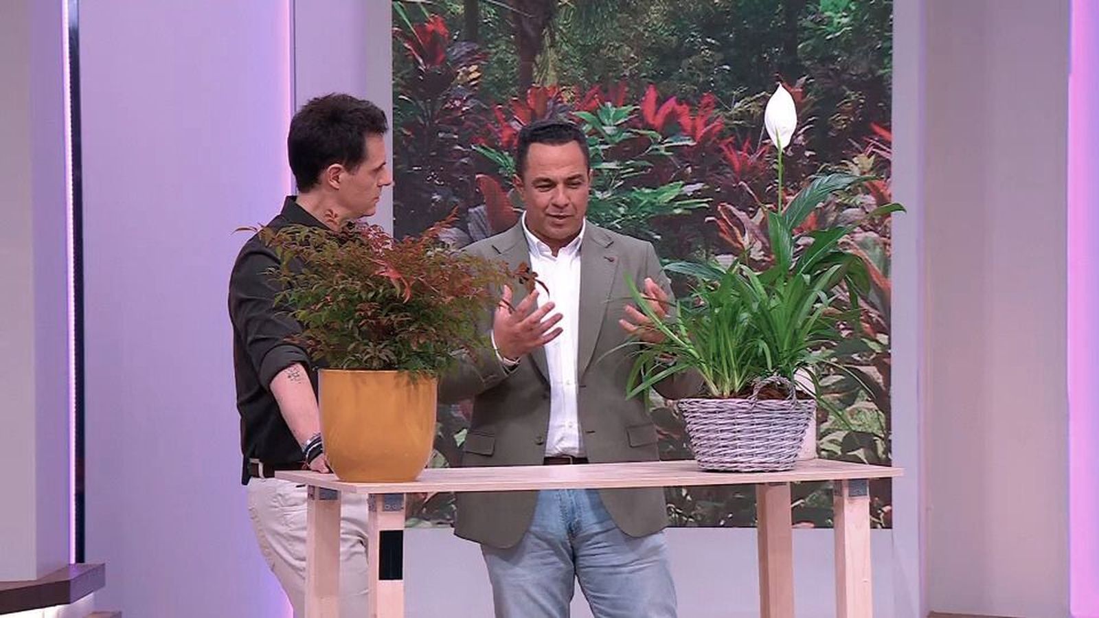 Cómo decir 'te quiero' con plantas