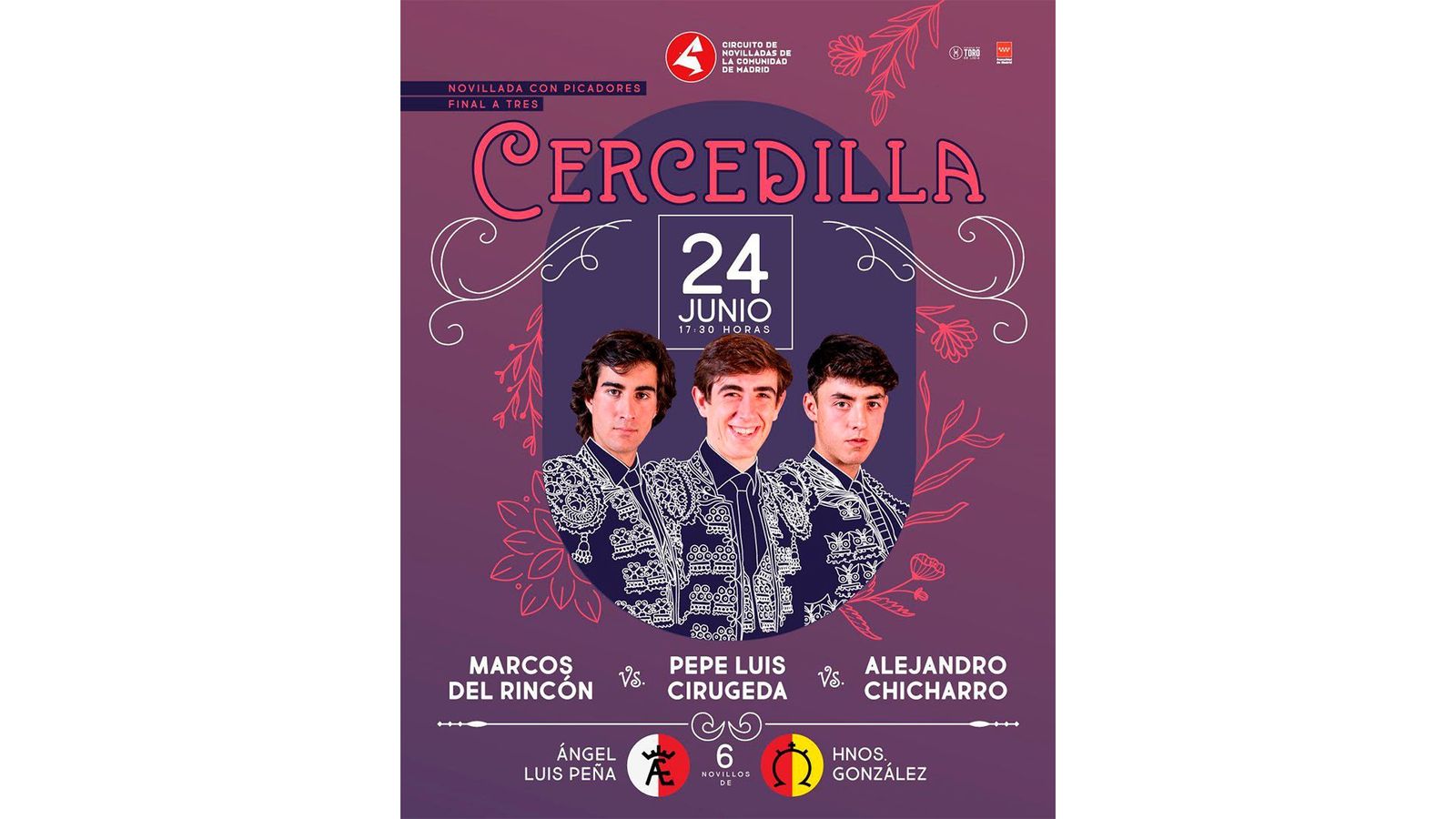FOTO CARTEL NOVILLADA HD