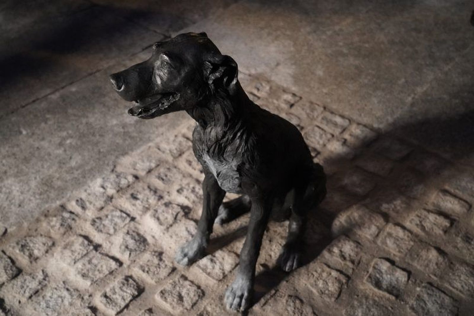 Estatua del perro Paco , frente al número 71 de la Calle de las Huertas