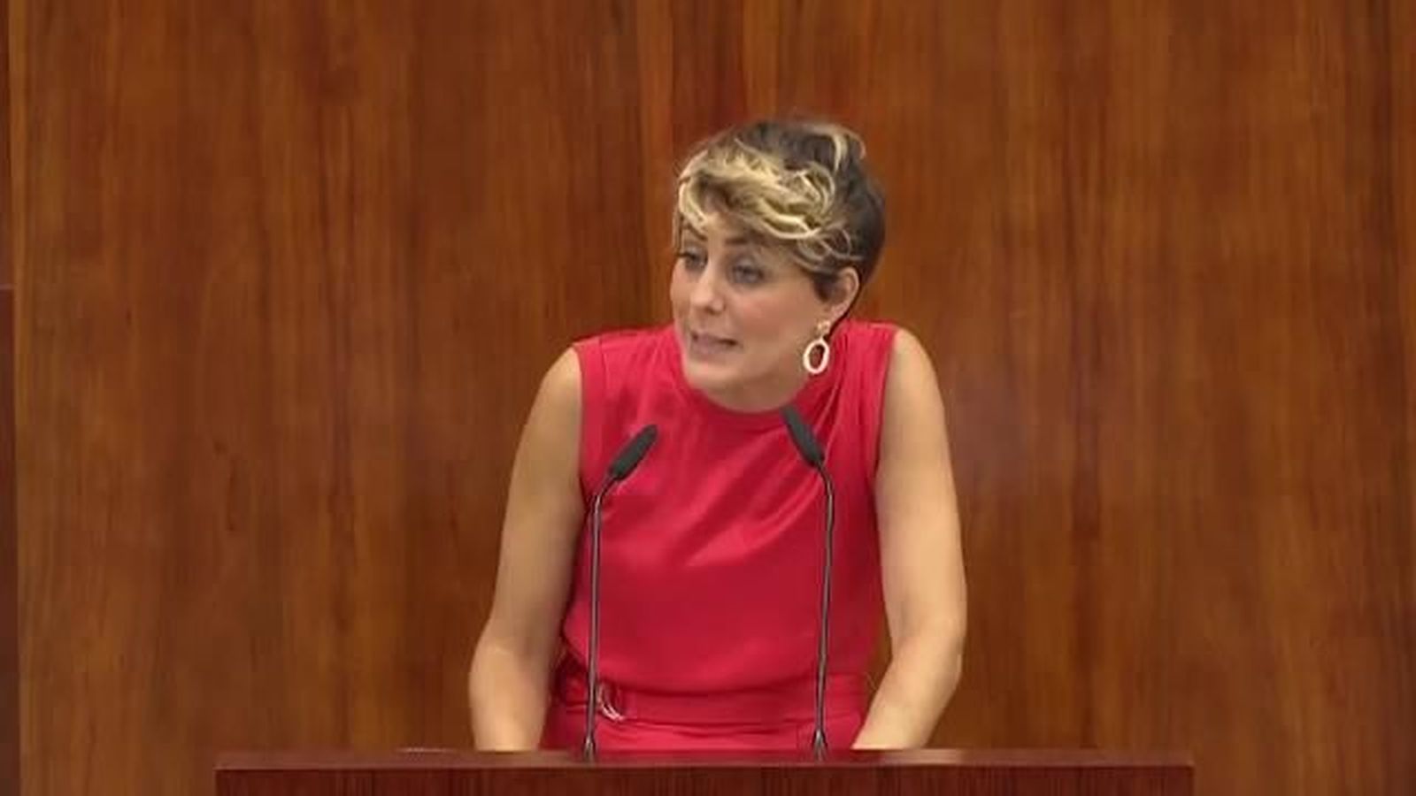 Ruiz-Huerta: "El PP ha descapitalizado la sanidad pública"