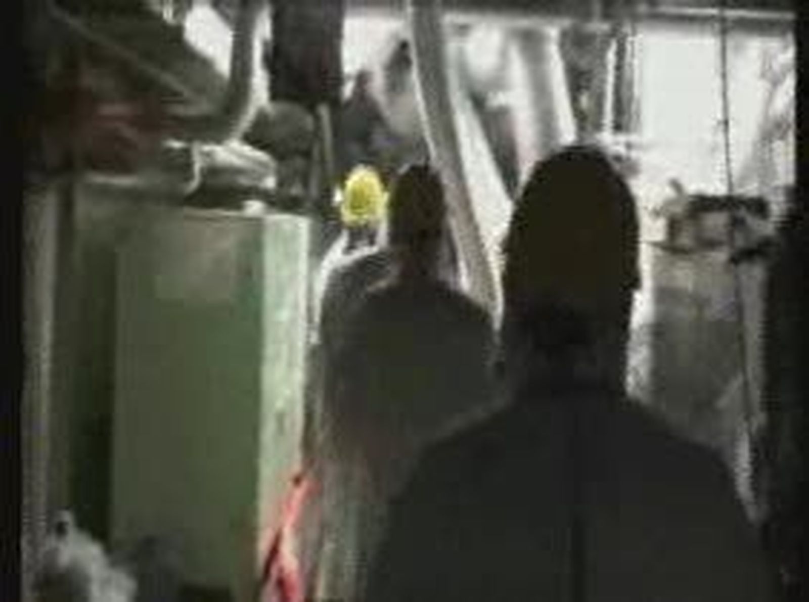 Los “Héroes de Fukushima”, premio Príncipe  de Asturias de la Concordia 2011
