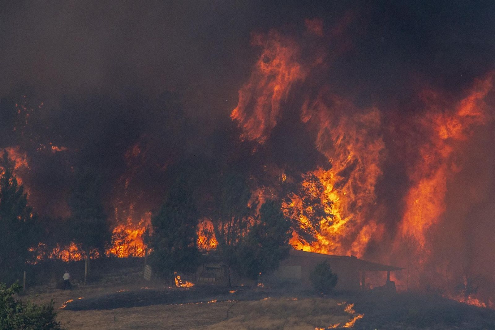 Incendio forestal