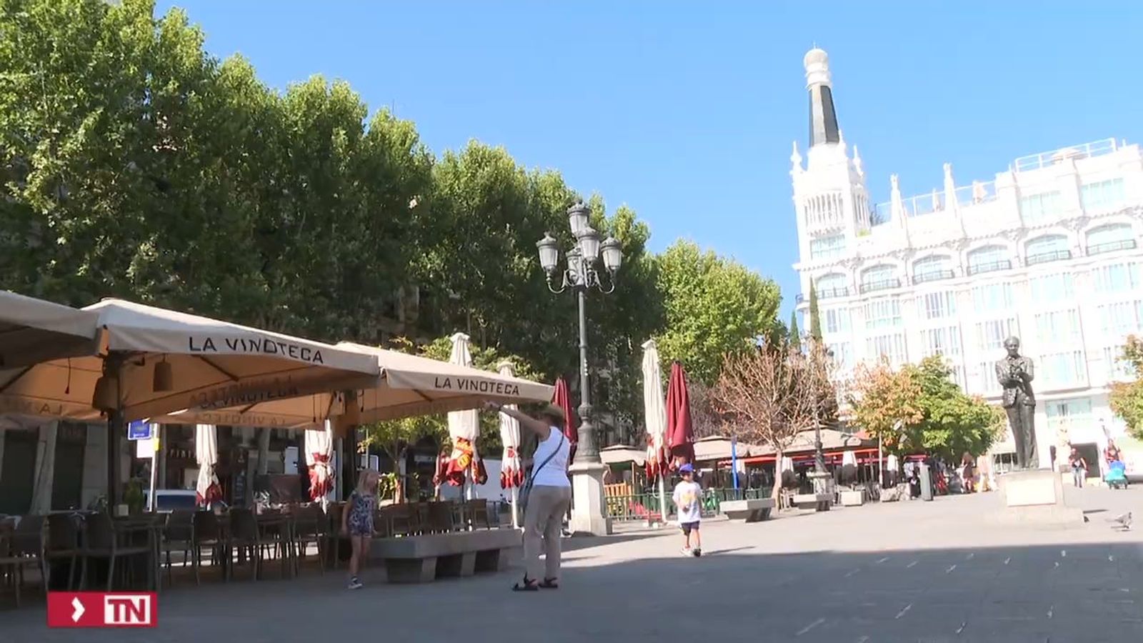 Tala de árboles Plaza Santa Anta