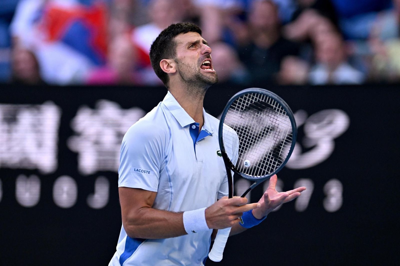 Djokovic puede con Fritz para estar en semifinales en Australia