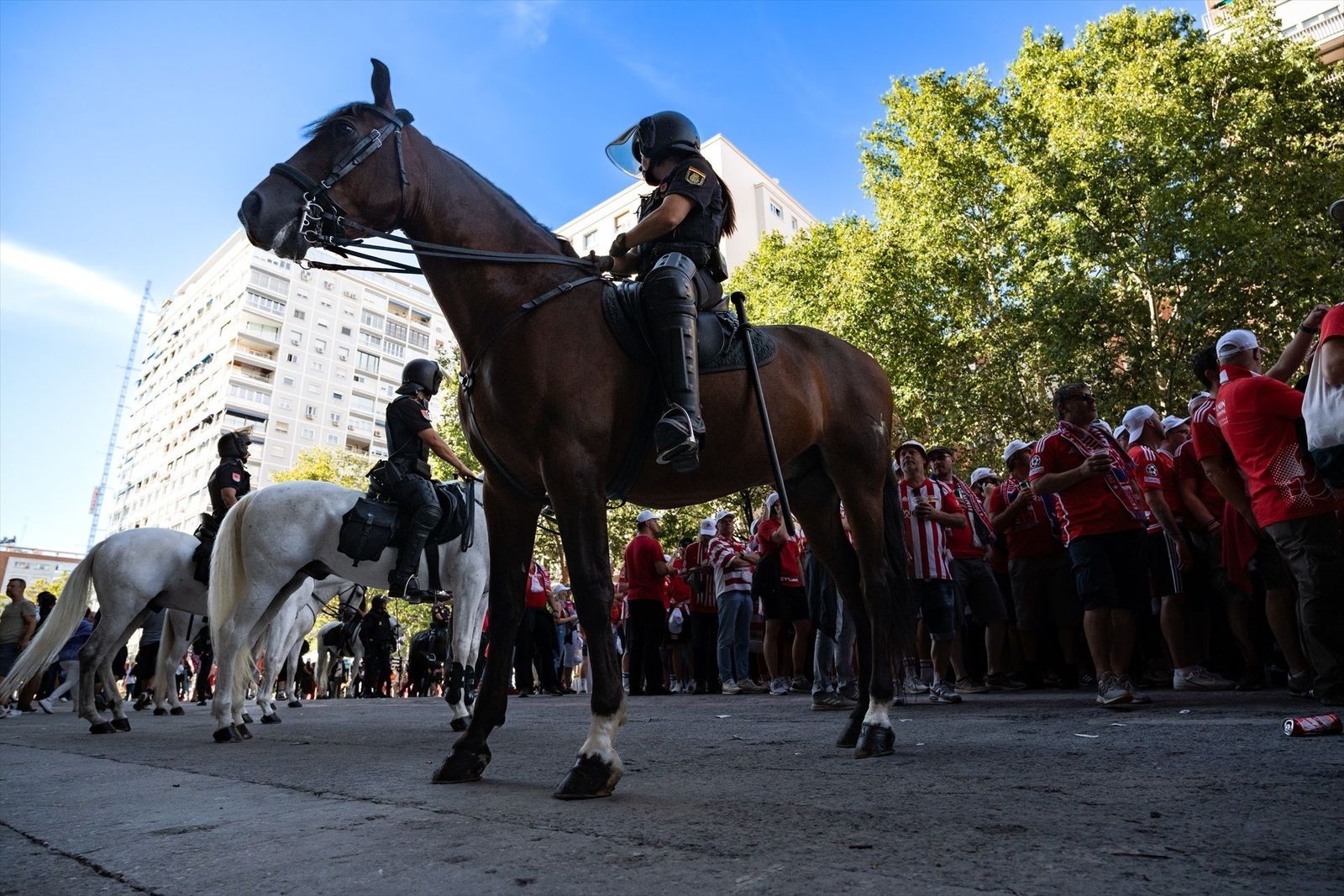 Así se preparan los caballos de la Policía Nacional para garantizar la seguridad en el próximo Real Madrid-Barça