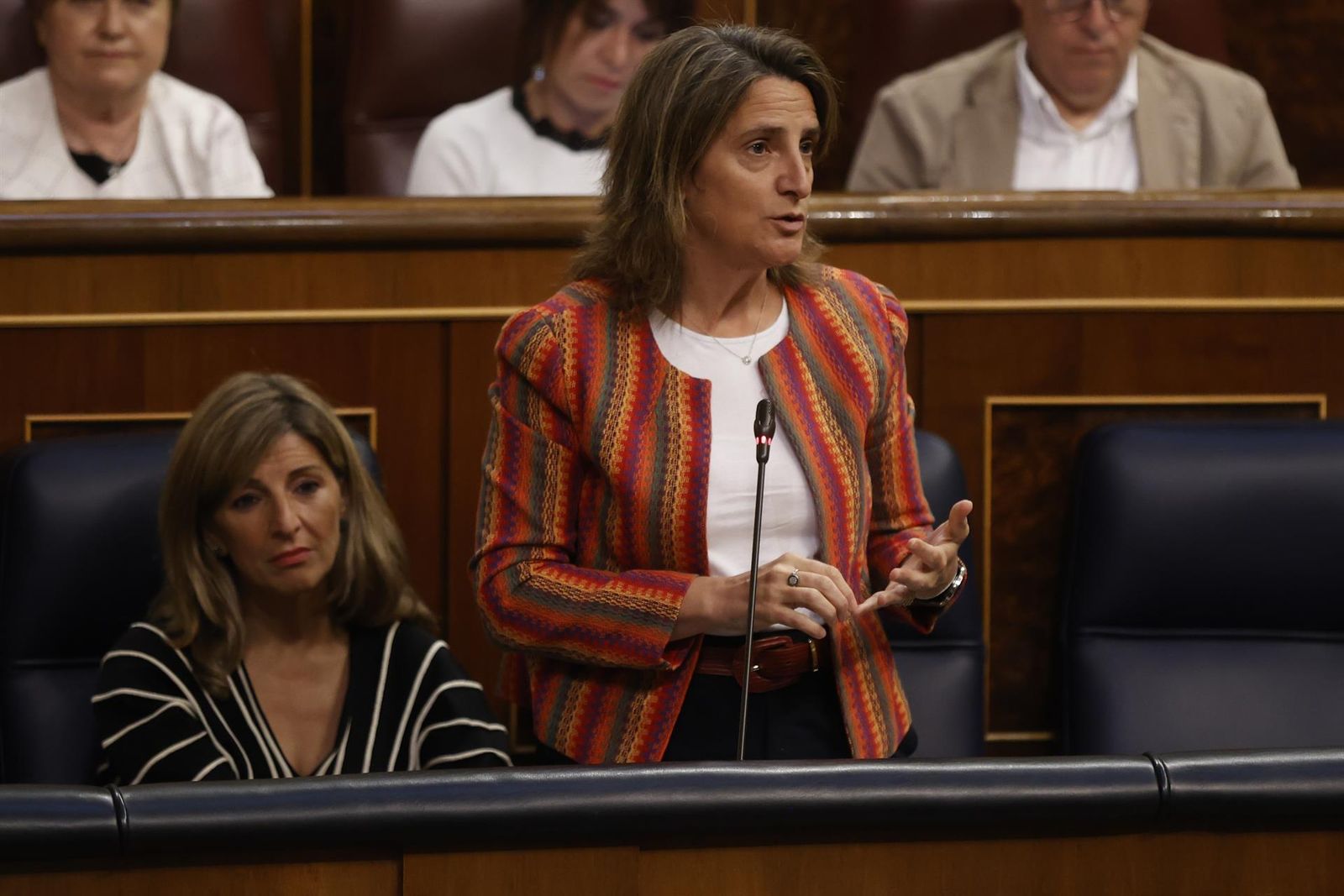 LA vicepresidenta tercera y ministra de Transición Ecológica, Teresa Ribera