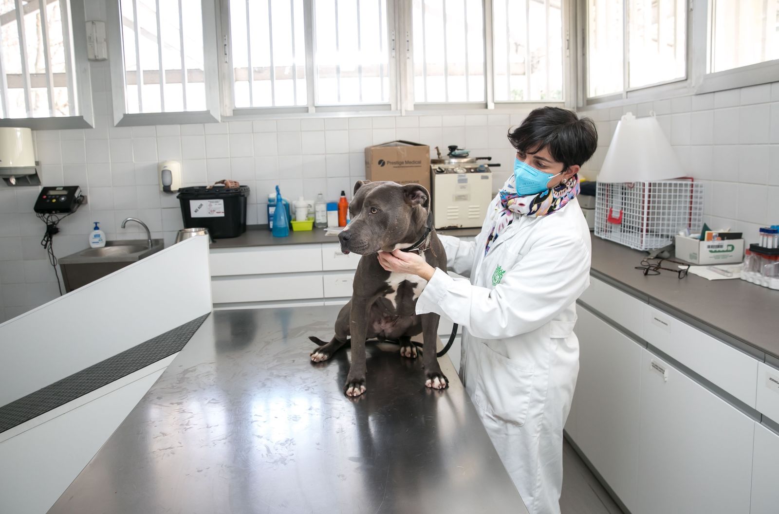 Veterinaria