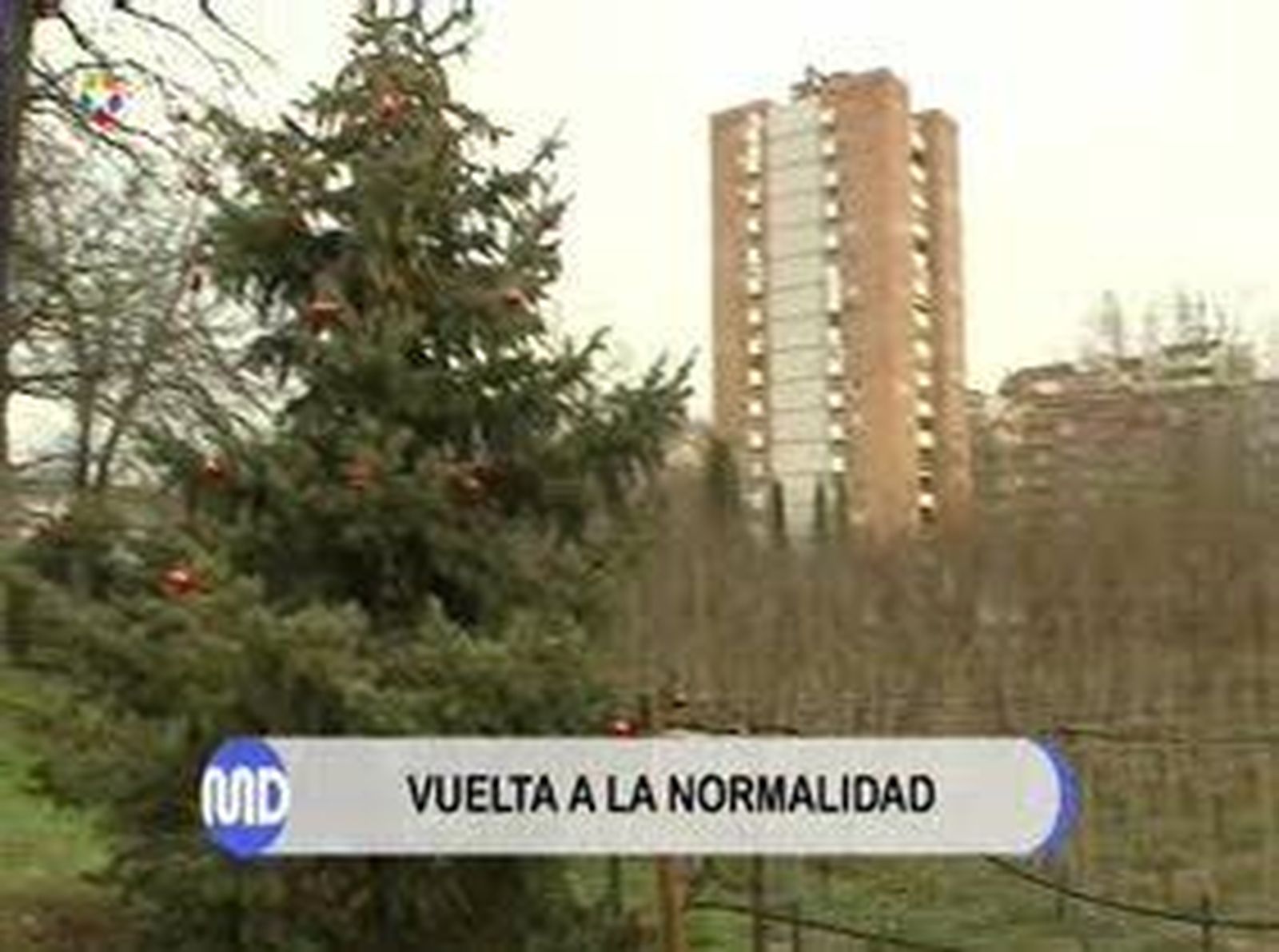 Campaña para recuperar los abetos de Navidad
