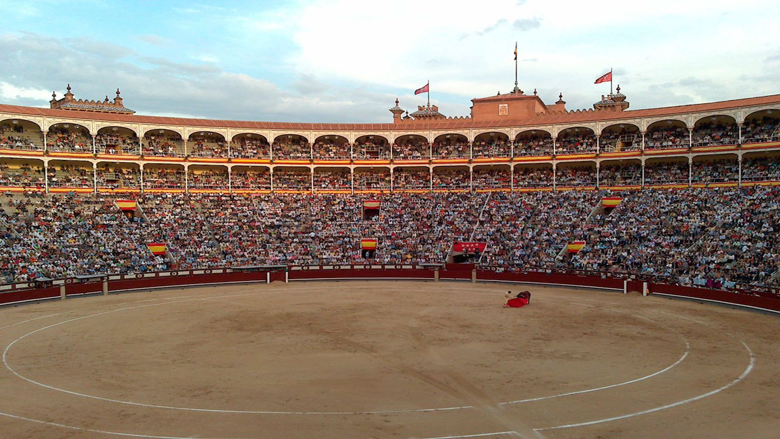 Toros