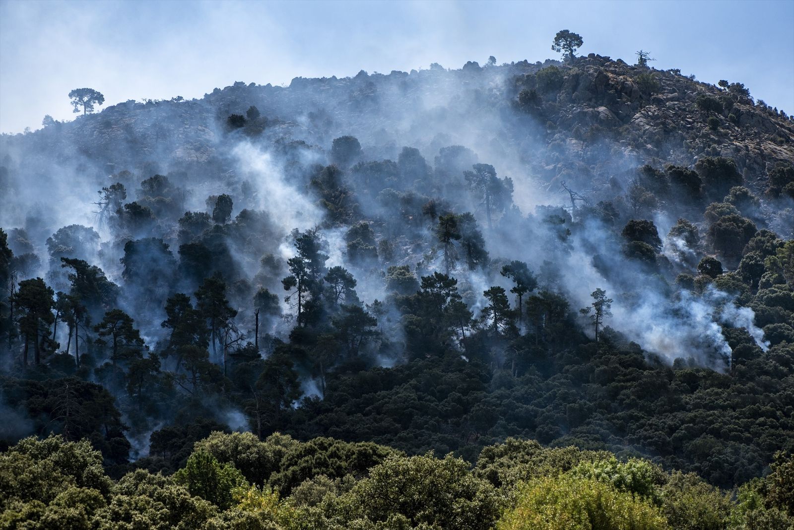 Árboles ardiendo en el monte de Robledo de Chavela en julio de 2026