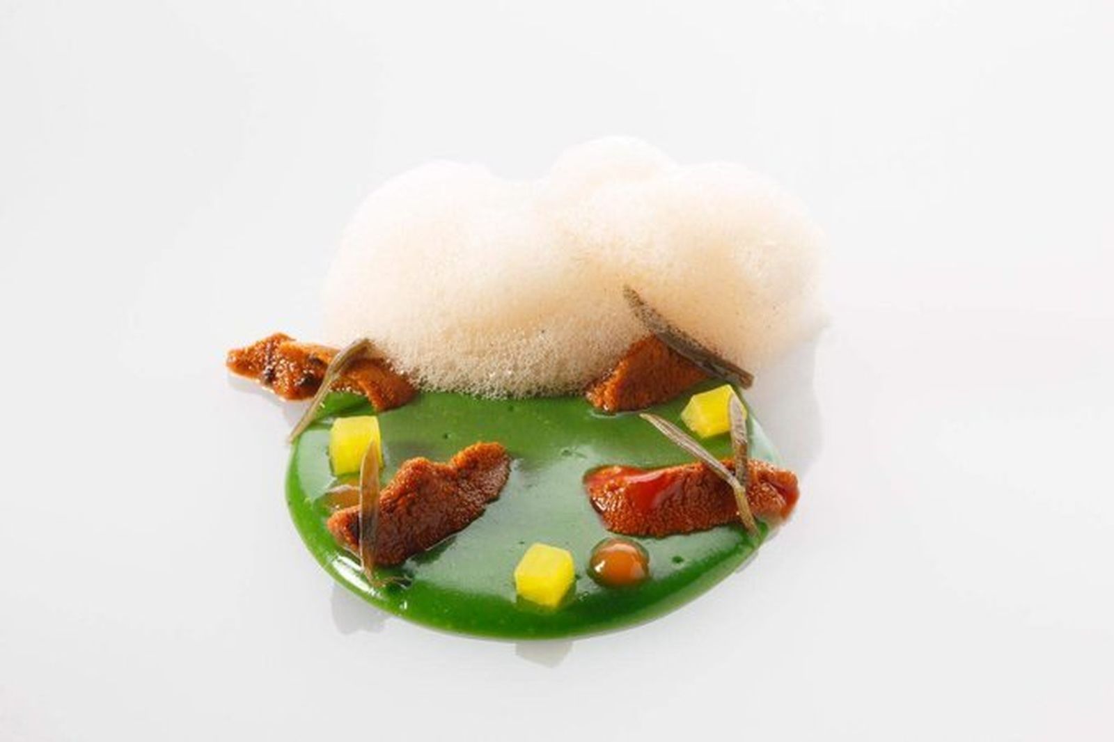 Sopa fermentada de algas, erizos y encurtidos de David García